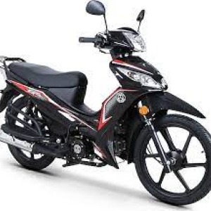 EGE 50